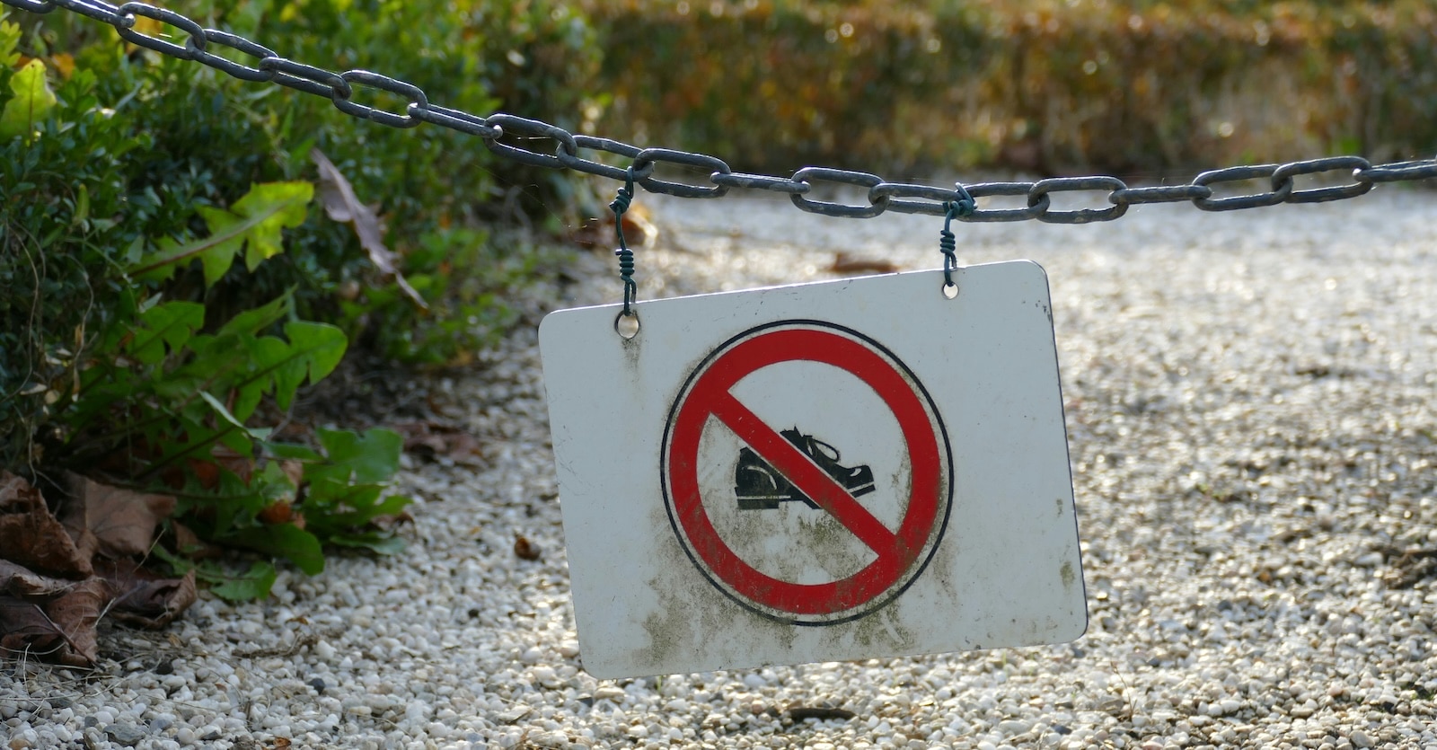 Európai cenzúrától félti tech-cégeit az USA