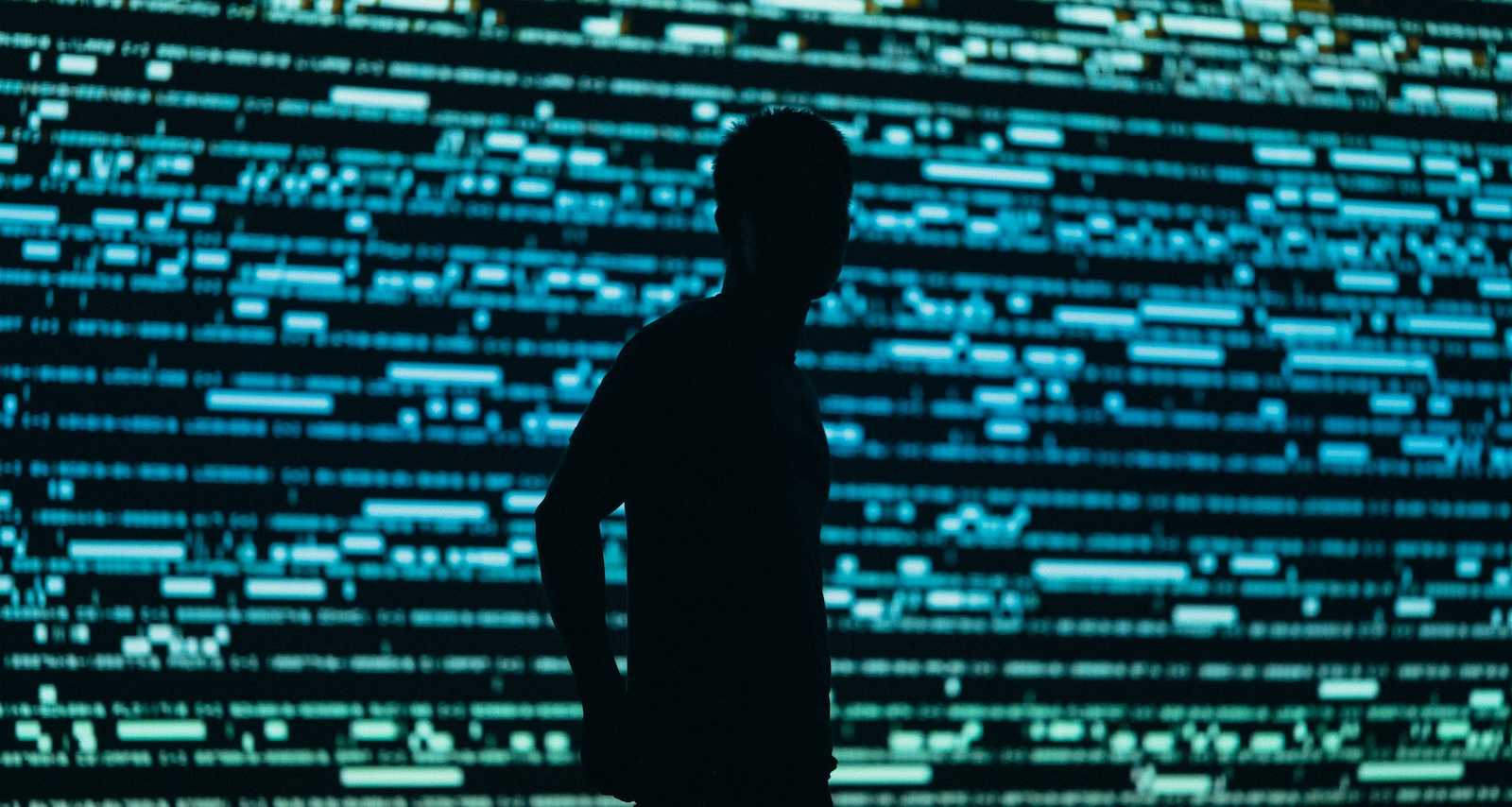 Ajándékba kapja az uniós nemzetbiztonság a Llamát