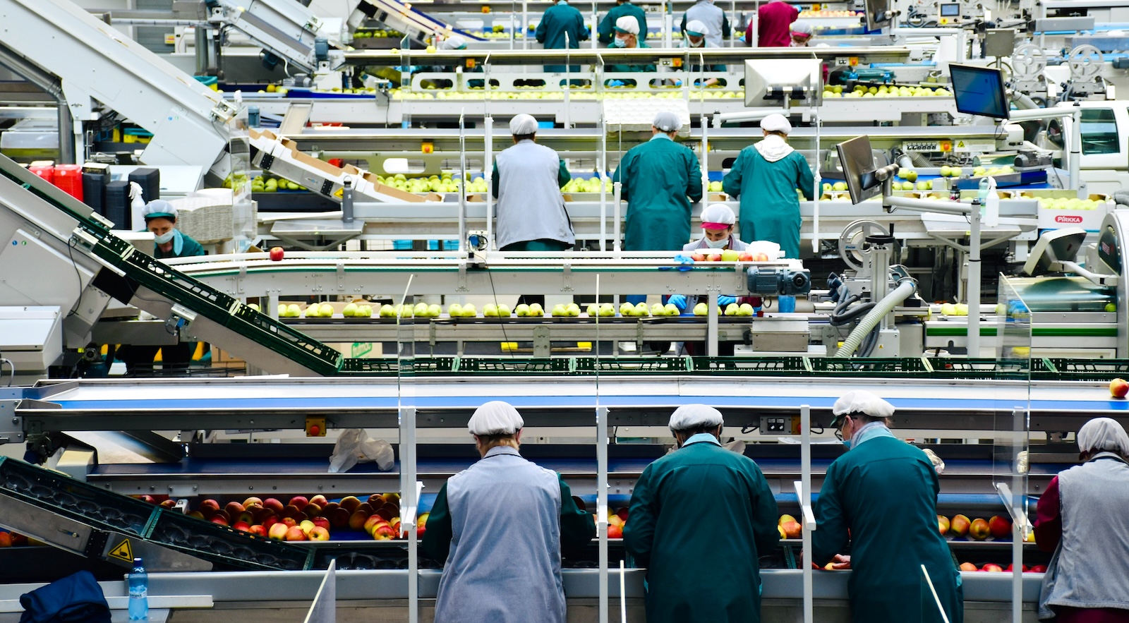 Világszerte erősödnek az aggodalmak azzal kapcsolatban, hogy a mesterséges intelligencia hogyan befolyásolja majd a munkaerőpiacot.